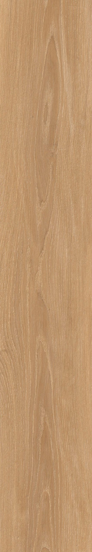 Albero Oak Wood Effect Porcelain (Sample) image 1