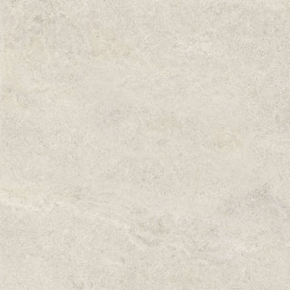Solid light gray color swatch