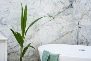 Barletta White Matt Porcelain image 5