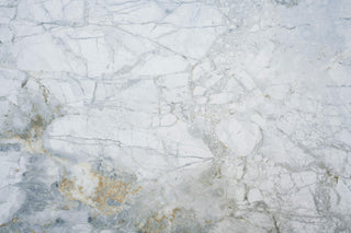 Barletta White Matt Porcelain image 6