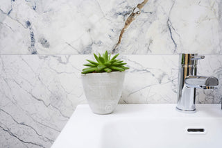 Barletta White Matt Porcelain image 7