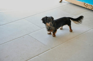 Biblical Antiqued And Pillowed Limestone image 3