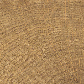 Storica Light Walnut Wood Effect Porcelain (Sample)