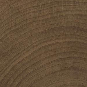 Storica Dark Walnut Wood Effect Porcelain (Sample)