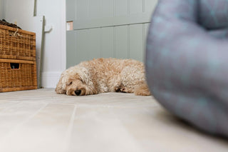 Geneva Chevron Coast Porcelain image 8