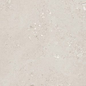 Fossile Grande Stone Terrazzo Effect Matt Porcelain (Sample)