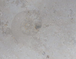 Jura Sage Honed Limestone (Sample) image 2