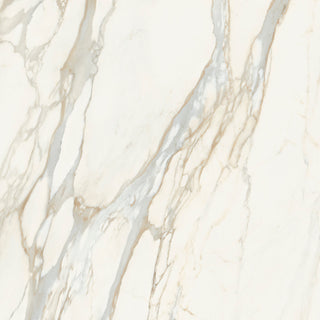 Altissimo Polished Porcelain image 4