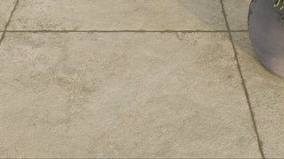 Beige stone patio with a plant and outdoor furniture