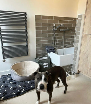 Majorca Glazed Mink Ceramic image 2