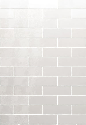 Monaco Glazed Blanc Ceramic Bricks (Sample) image 1