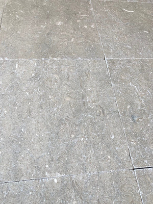 Olivestone Tumbled Limestone (Sample) image 1