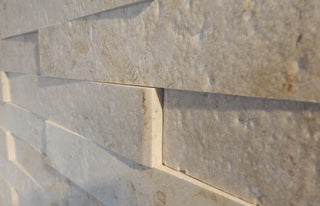 Palermo Limestone Cutting Edge (Sample) image 3