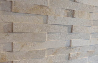 Palermo Limestone Cutting Edge (Sample) image 1