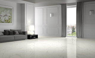 Romana Carrara Polished White/Grey Porcelain (Sample) image 6
