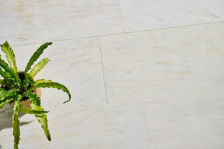 Calacatta Gold Honed Marble image 1