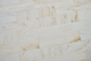 Calacatta Gold Marble Honed (Sample) image 1