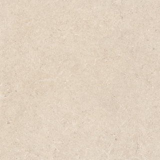 Ground Bone Matt Porcelain (Sample) image 1