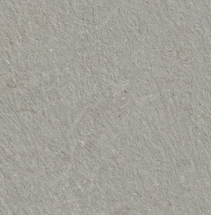 Ground Silver Outdoor Porcelain (Sample) image 1