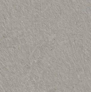 Ground Silver Outdoor Porcelain (Sample) image 1