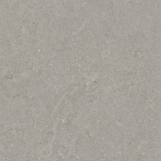 Ground Silver Matt Porcelain (Sample) image 1