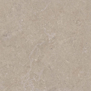 Ground Taupe Matt Porcelain (Sample) image 1