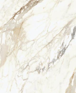 Montana Statuario Oro Honed Marble Effect Porcelain image 5
