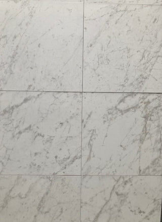 Parisian Carrara Porcelain image 3